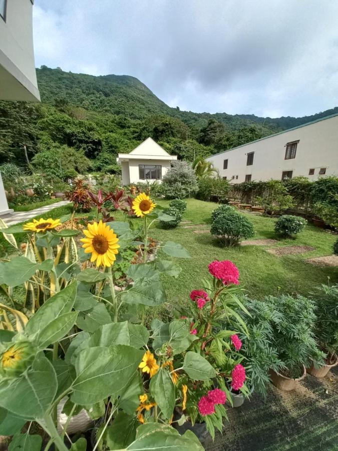 Chi Khu Co Ong Garden House Con Dao 아파트 호텔 외부 사진