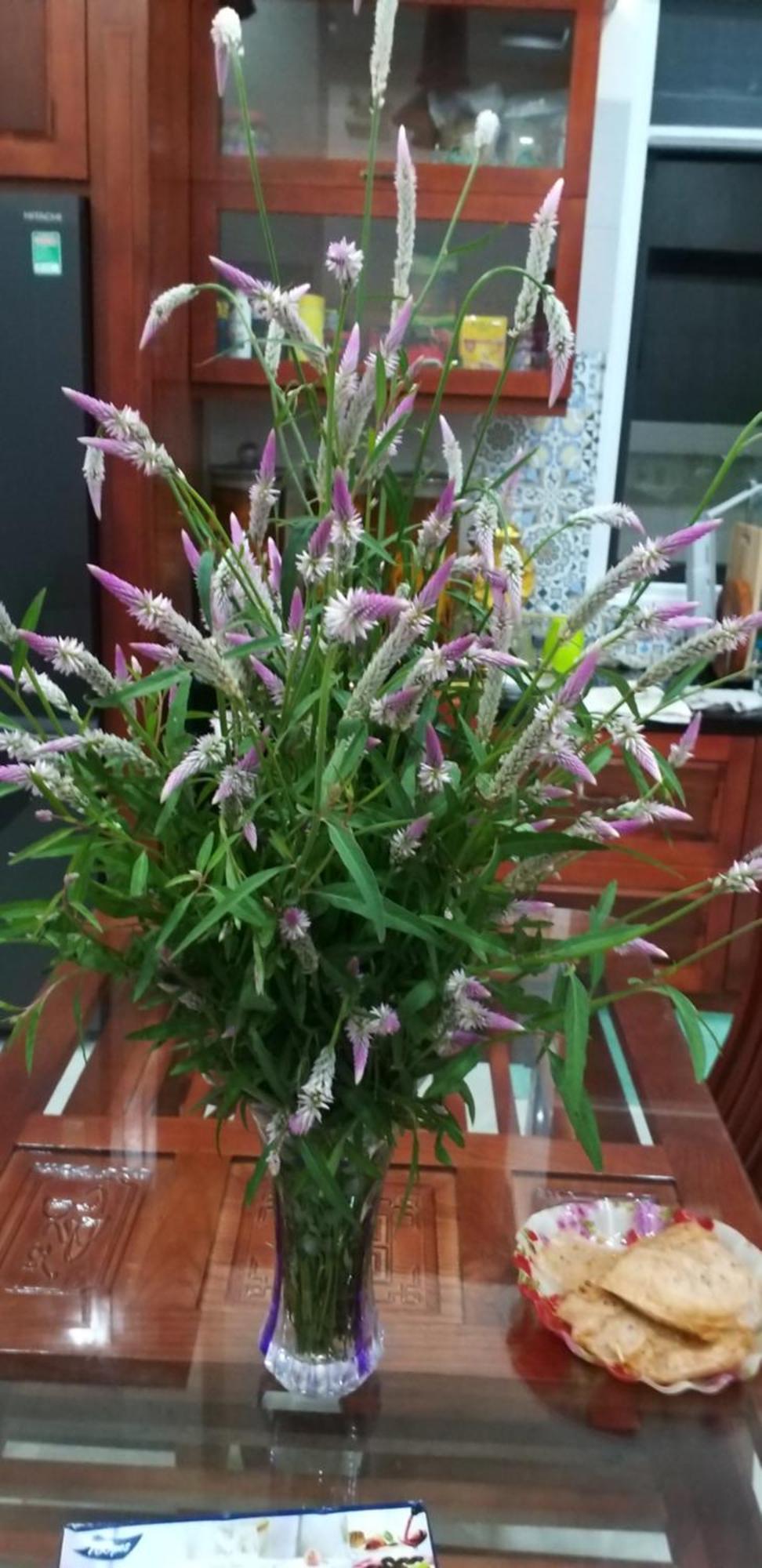 Chi Khu Co Ong Garden House Con Dao 아파트 호텔 외부 사진